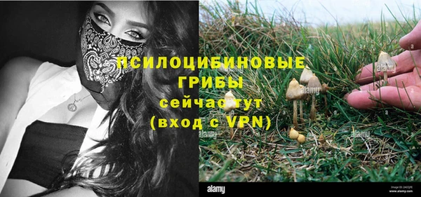твердый Абдулино