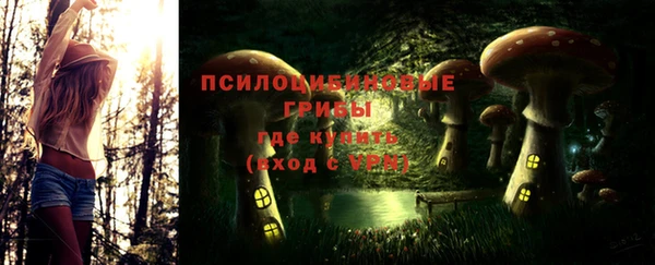 таблы Алзамай