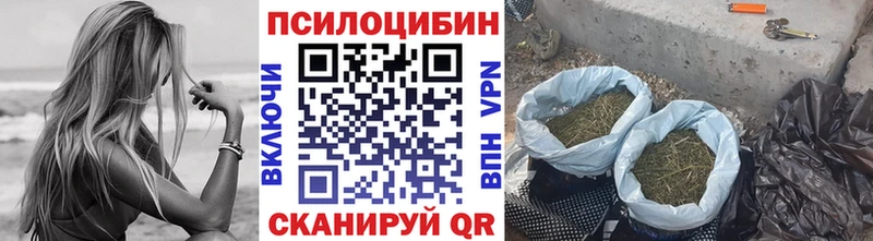 Галлюциногенные грибы прущие грибы  цена наркотик  Тырныауз 